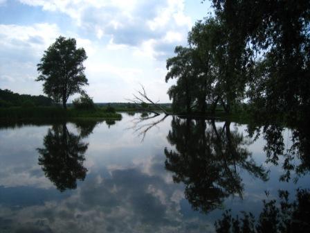 Поїзди гудуть за Ірпінню... - Ірпінь