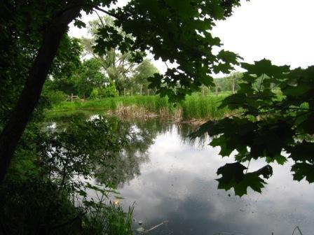 Будинок творчості письменників - Ірпінь