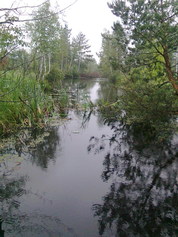 а зорі тут тихі.......... - Переброди