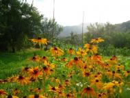 курорт Поляна