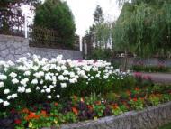 курорт Поляна