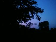 Лемеші.Літо