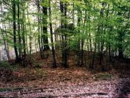 с. Нова Скварява