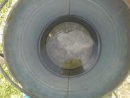 Лемеші.Літо