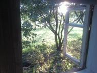 Лемеші.Літо