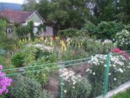 курорт Поляна