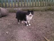 просто альбомчик=)