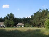 Степанцы - родина рода Дудко и Загорулько