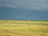 Привілля - Останні фото