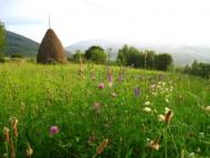 курорт Поляна