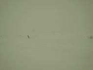 Замети Підбрусеня