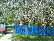 Красиві місця в Майданівці