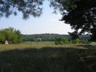 Степанцы - родина рода Дудко и Загорулько