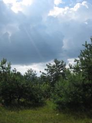 любимое село