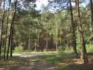 Степанцы - родина рода Дудко и Загорулько