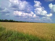 З Єланця до села Півні