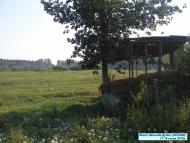 Степанцы - родина рода Дудко и Загорулько