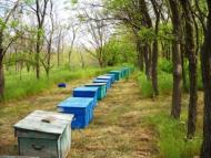 Мала Лепетиха