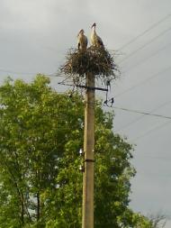 Красиві місця в Майданівці