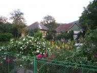 курорт Поляна