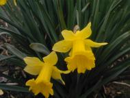 просто альбомчик=)