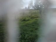 Лемеші.Літо