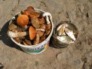 'Ненькина колиска'