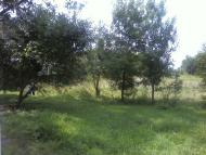 Лемеші.Літо