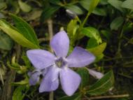 просто альбомчик=)