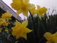 просто альбомчик=)