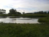 Красиві місця в Майданівці