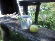 Лемеші.Літо