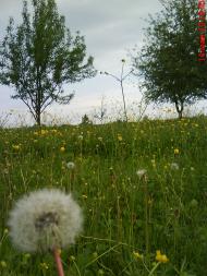 Красиві місця в Майданівці