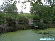 Степанцы - родина рода Дудко и Загорулько