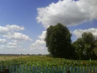 Красиві місця в Майданівці