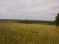 Петрашівка - Останні фото