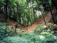 с. Нова Скварява