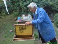 Витов пасечник