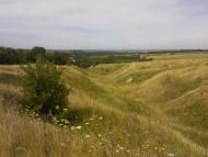 с. Петрашовка