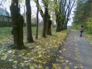 Нова Прилука