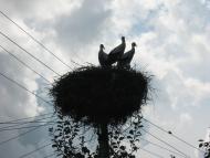 Мальовничі пейзажі Корсова