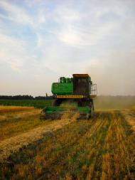 І ХЛІБОМ І ЦВІТОМ