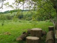 'Ненькина колиска'