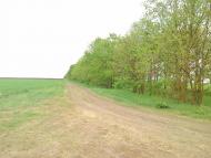 З Єланця до села Півні