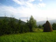 курорт Поляна