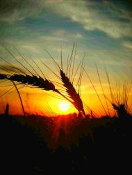 Войниха - Останні фото