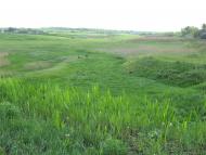 Родной край