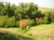 Мала Лепетиха