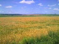 З Єланця до села Півні