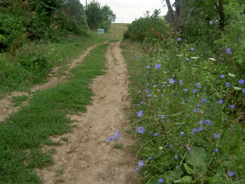 Фото села - Белоусовка